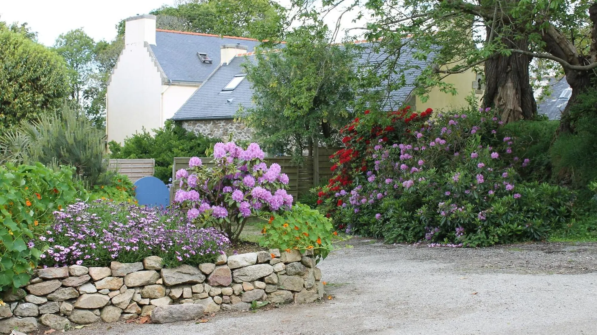 Gite Breton A 5Mn De La Mer Douarnenez
